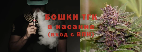 мяу мяу мука Аркадак