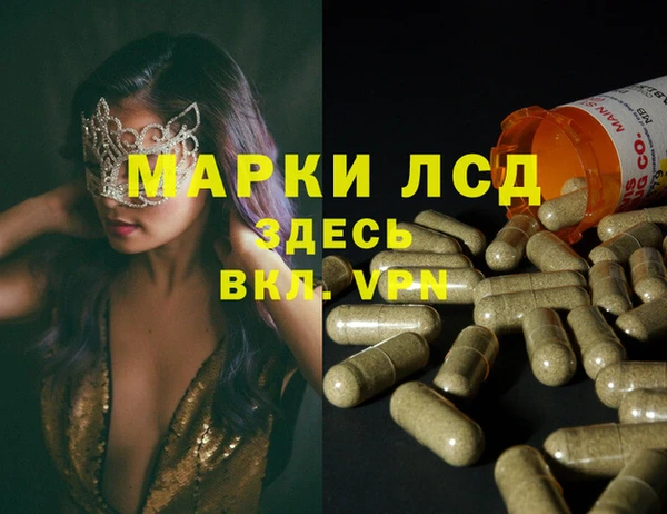 spice Осинники