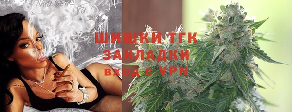 spice Осинники